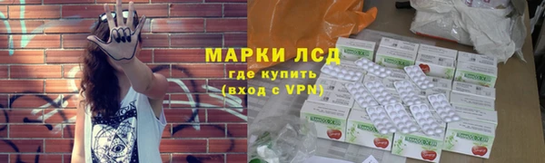 прущие грибы Вязники